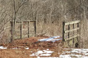 16775 Hunnicut Rd, , IN 47327 - Photo 31