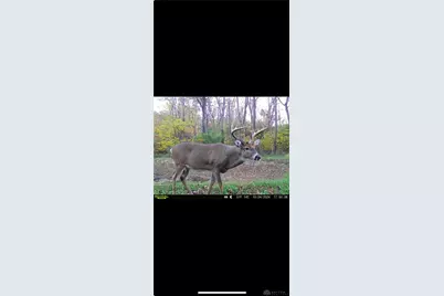 0 County Road 5, Zanesfield, OH 43360 - Photo 67