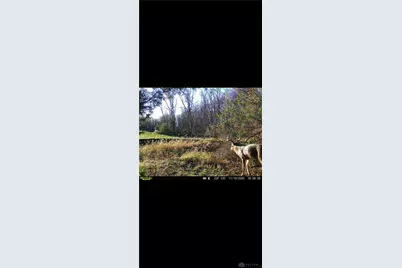 0 County Road 5, Zanesfield, OH 43360 - Photo 69