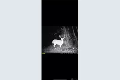 0 County Road 5, Zanesfield, OH 43360 - Photo 93