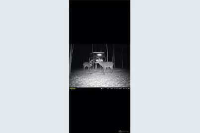 0 County Road 5, Zanesfield, OH 43360 - Photo 79