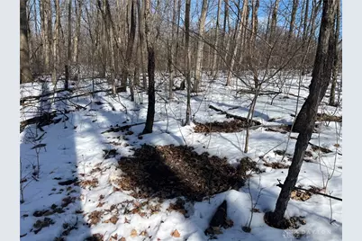 0 County Road 5, Zanesfield, OH 43360 - Photo 45