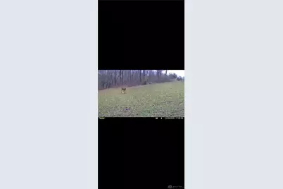 0 County Road 5, Zanesfield, OH 43360 - Photo 83