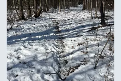 0 County Road 5, Zanesfield, OH 43360 - Photo 39