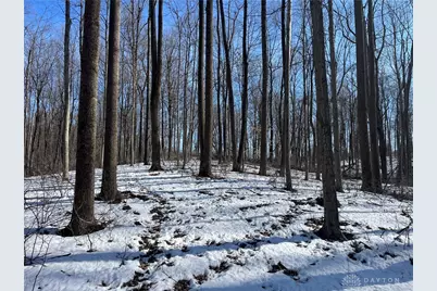 0 County Road 5, Zanesfield, OH 43360 - Photo 43