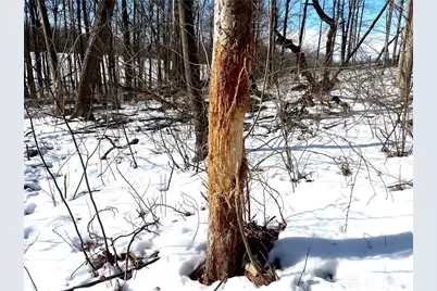 0 County Road 5, Zanesfield, OH 43360 - Photo 33