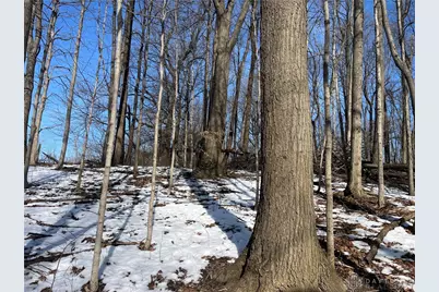 0 County Road 5, Zanesfield, OH 43360 - Photo 41