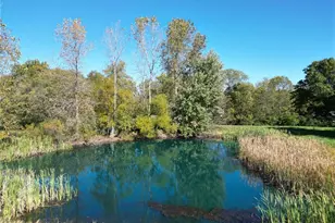 3435 State Route 380, Xenia, OH 45385 - Photo 53