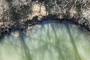 186 W Xenia Ave, Cedarville Village, OH 45314 - Photo 41