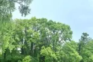 7847 Betsy Ross Cir, Dayton, OH 45459 - Photo 7