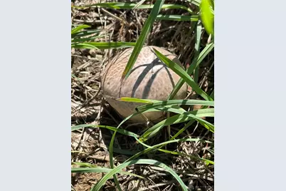 7403 Fairground Road, Blanchester, OH 45107 - Photo 13