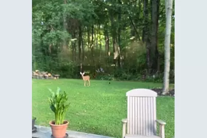 9897 Pleasant Valley Road, Somerville, OH 45064 - Photo 45