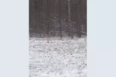 61000 Bolar Road, Mc Arthur, OH 45342 - Photo 1