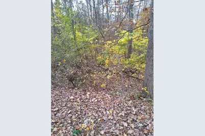 61000 Bolar Road, Mc Arthur, OH 45342 - Photo 3