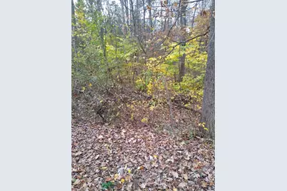 61000 Bolar Road, Mc Arthur, OH 45342 - Photo 5