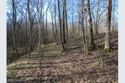 1459 State Route 73, Peebles, OH 45660 - Photo 23