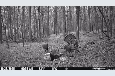 1459 State Route 73, Peebles, OH 45660 - Photo 43