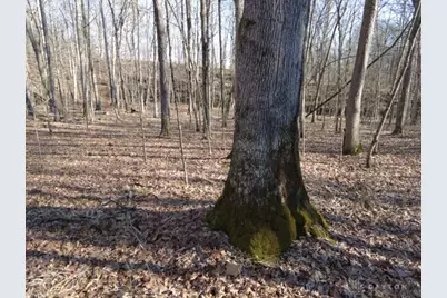 1459 State Route 73, Peebles, OH 45660 - Photo 11