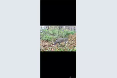 924 Eris Road, Urbana, OH 43078 - Photo 87