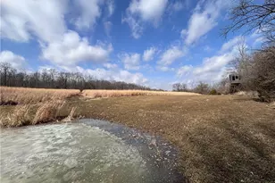 924 Eris Rd, Urbana, OH 43078 - Photo 37