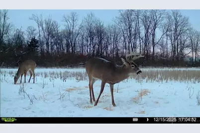 924 Eris Road, Urbana, OH 43078 - Photo 75