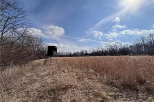 924 Eris Rd, Urbana, OH 43078 - Photo 43