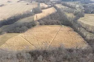 924 Eris Rd, Urbana, OH 43078 - Photo 59