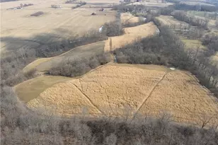 924 Eris Rd, Urbana, OH 43078 - Photo 1