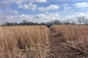 924 Eris Rd, Urbana, OH 43078 - Photo 39