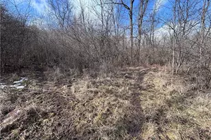 924 Eris Rd, Urbana, OH 43078 - Photo 41