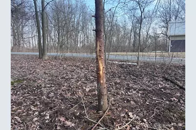 924 Eris Road, Urbana, OH 43078 - Photo 27