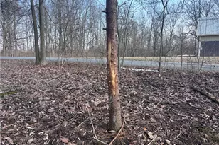 924 Eris Rd, Urbana, OH 43078 - Photo 27