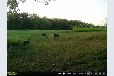 924 Eris Road, Urbana, OH 43078 - Photo 71