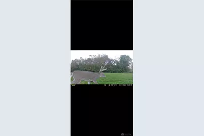 924 Eris Road, Urbana, OH 43078 - Photo 77