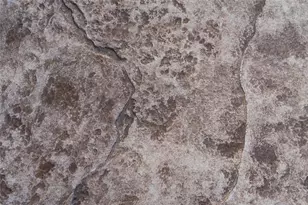 105 Bluestone Ct, Greenville, OH 45331 - Photo 43