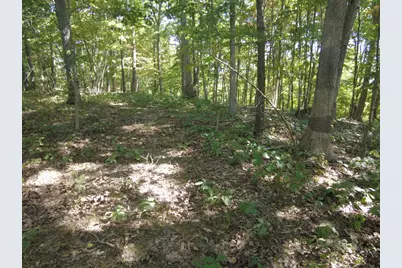 16 Black Hollow Road, Peebles, OH 45660 - Photo 23