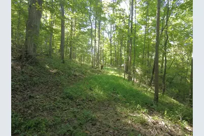 16 Black Hollow Road, Peebles, OH 45660 - Photo 11