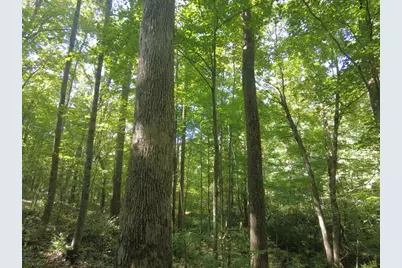 16 Black Hollow Road, Peebles, OH 45660 - Photo 7