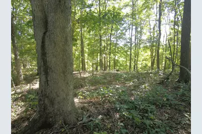 16 Black Hollow Road, Peebles, OH 45660 - Photo 27