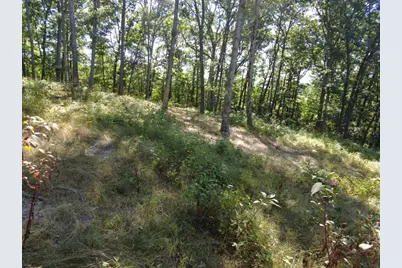 16 Black Hollow Road, Peebles, OH 45660 - Photo 19