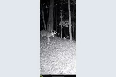 16 Black Hollow Road, Peebles, OH 45660 - Photo 35