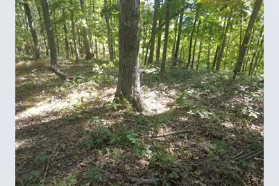 16 Black Hollow Road, Peebles, OH 45660 - Photo 25