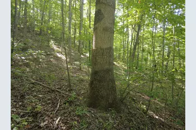 16 Black Hollow Road, Peebles, OH 45660 - Photo 9