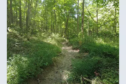 16 Black Hollow Road, Peebles, OH 45660 - Photo 5