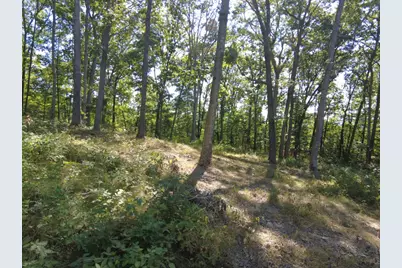 16 Black Hollow Road, Peebles, OH 45660 - Photo 21