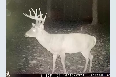 16 Black Hollow Road, Peebles, OH 45660 - Photo 39