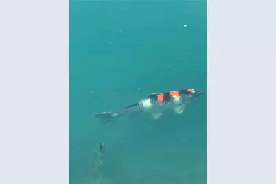 4301 Carnell Drive, Clearcreek Twp, OH 45036 - Photo 83