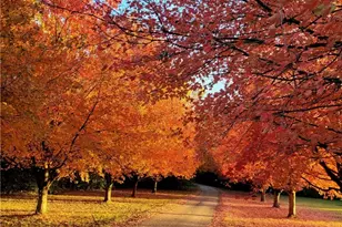 1045 W State Route 73, Clearcreek Twp, OH 45066 - Photo 3