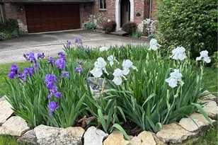 1119 Birchton Pl, Vandalia, OH 45377 - Photo 95