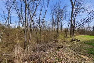 6459 Manning Rd, Miami Township, OH 45342 - Photo 59